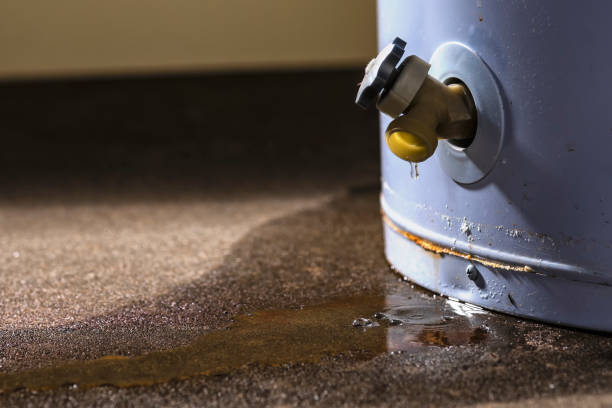 Best Professional water damage repair  in Newfield, NJ