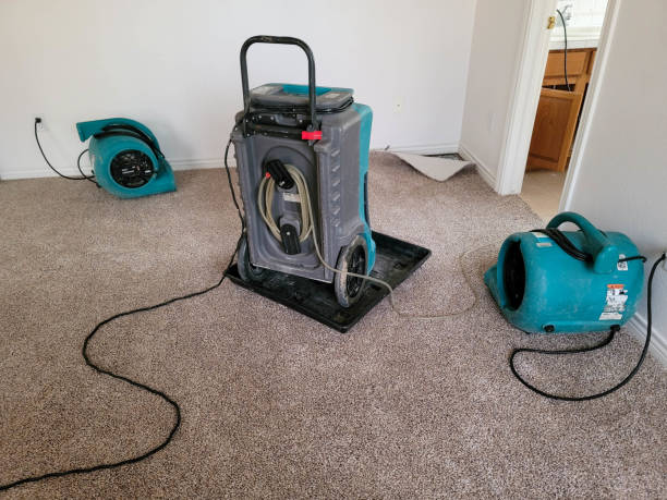 Best 24/7 water damage repair  in Newfield, NJ
