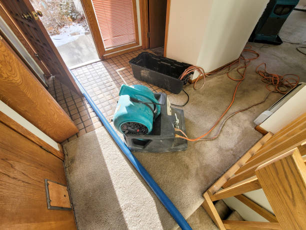 Best Residential water damage restoration  in Newfield, NJ
