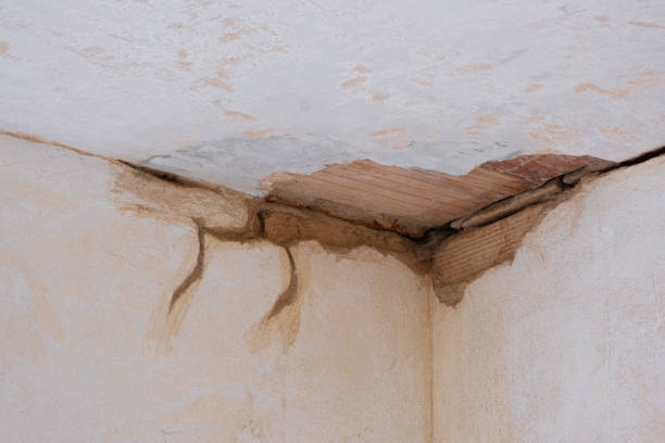 Best Water damage restoration insurance claims  in Newfield, NJ