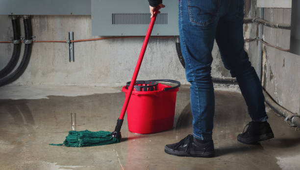 Best Sewage cleanup and water damage restoration  in Newfield, NJ