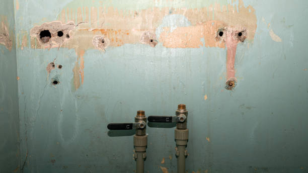 Best Water damage restoration near me  in Newfield, NJ