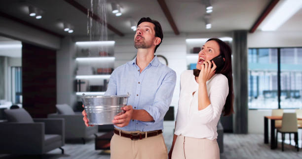 Best Flooded house restoration  in Newfield, NJ