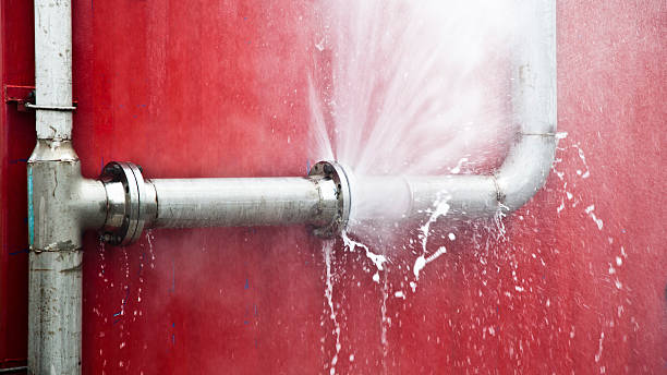 Best Flood damage cleanup  in Newfield, NJ