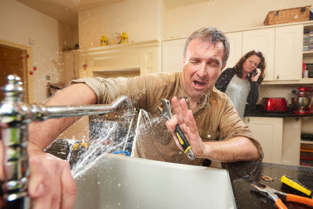 Best Ceiling water damage repair  in Newfield, NJ